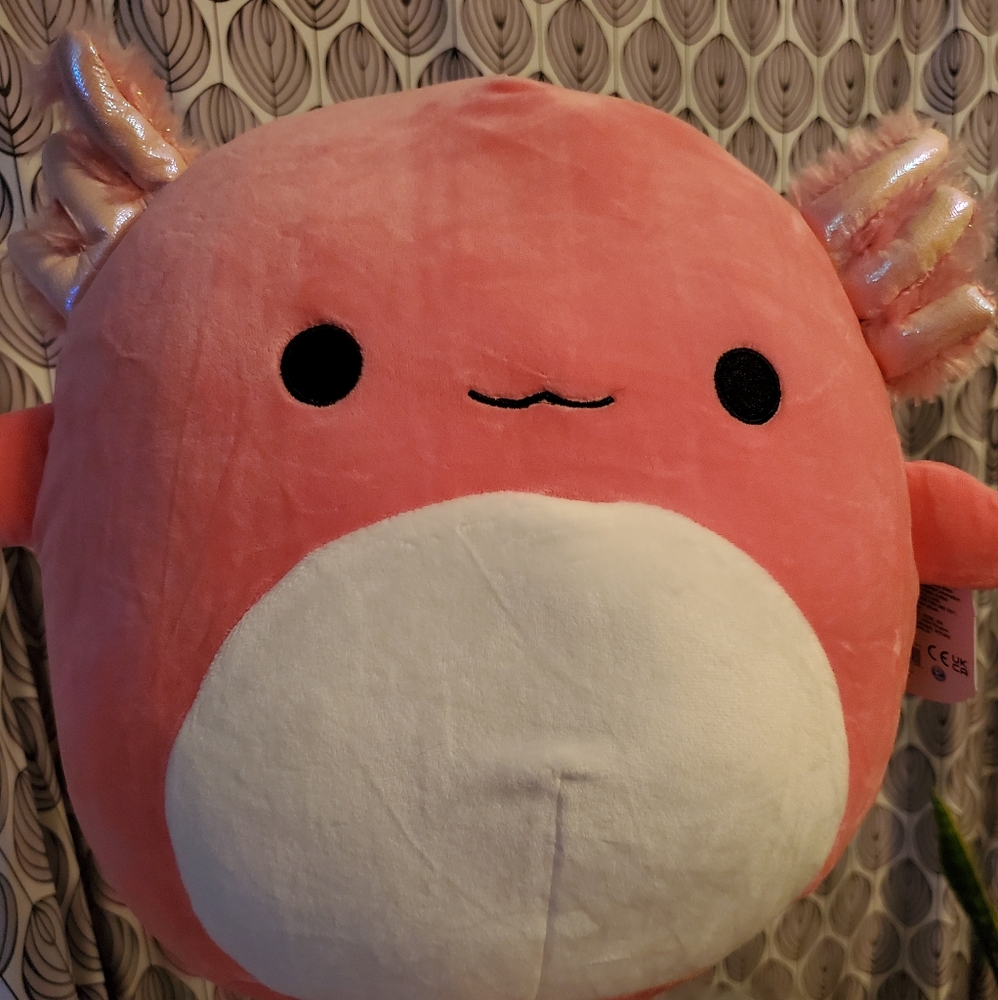 Squishmallows - Picture 4 of 4